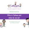 cafcass-video-for-children