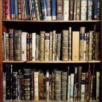 How do I add an article to the wikivorce library