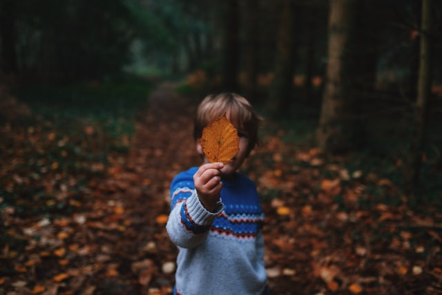 Parental Alienation
