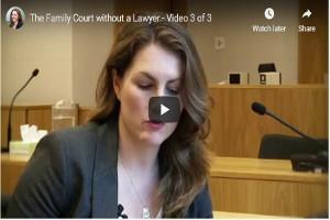 The Family Court without a Lawyer - 3) Giving Evidence And Challenging Evidence