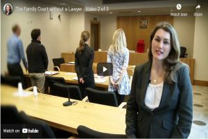 The Family Court without a Lawyer -  2) The First Hearing