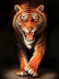 Leo's Avatar