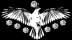 White_Crow's Avatar