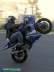 mrf's Avatar