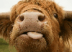 meatavermurderer's Avatar
